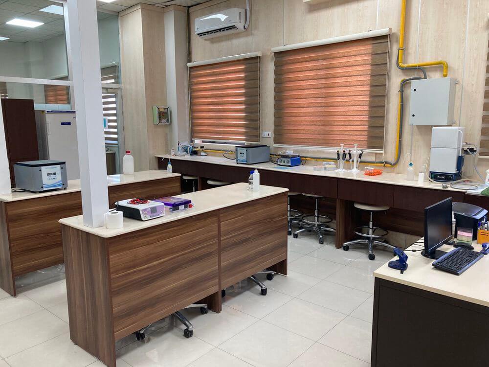 Knowledge University, Medical Laboratory Science Department, Mycology Lab